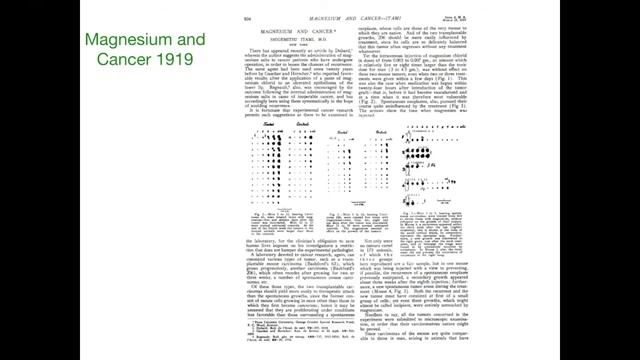 Bridging the Magnesium Gap: From the Soil to the Brain