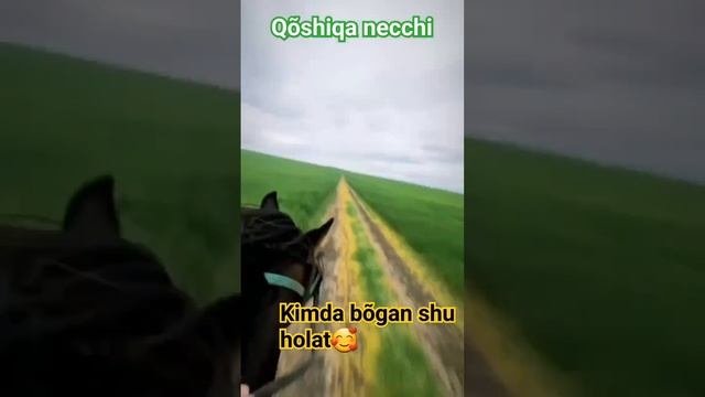 fikringizni qoldirin KANAL SHAPKasida telegram manzil bor obuna #top