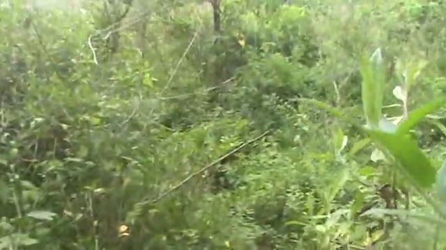 Resgate da bágda 17m ( TNG ) - Cometa Rio ( BY VELASCO )