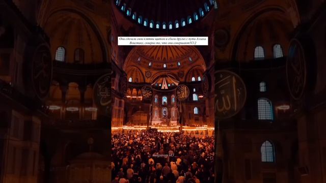 VID_20241206_004508_949.mp4