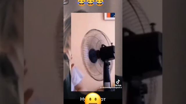 scene_output.mp4