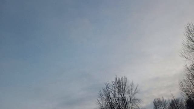 Заельцовский Бор  и парк можно погулять