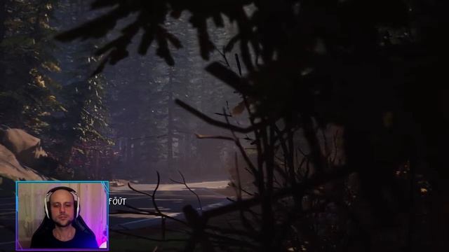 Life is Strange 2 - PC - Controller - HUN sub - Episode I