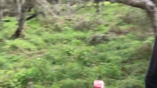 1975 XL 125 POWER OR NO POWER???!?!?!?