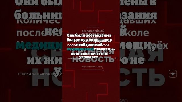 В школе Краснодара произошел конфликт между учениками