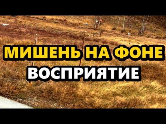 Насколько важно восприятие мишени при стрельбе