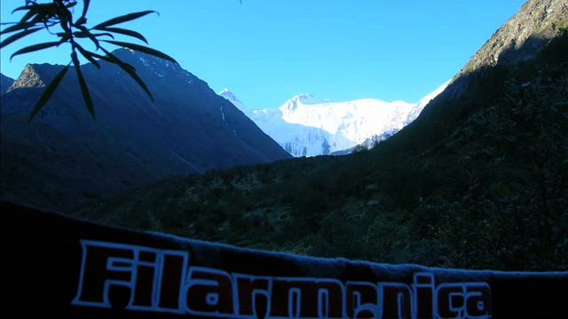 Dmitri Shostakovich String Quartet N° 15 "Filarmonica"-quartet