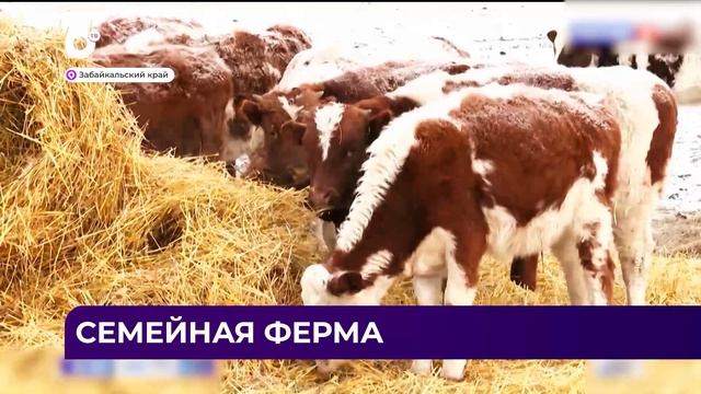 Дальний Восток Блиц / 06.12.24