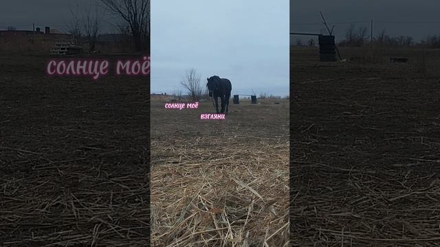 Солнце моё 🥺💋