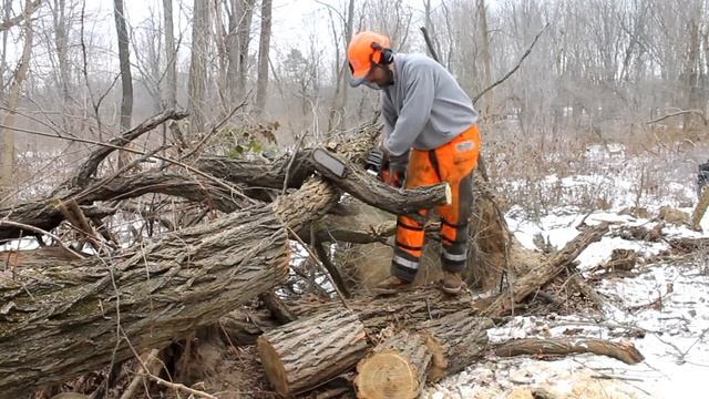 How Much Land to Sustain Wood Burning?