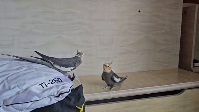 Разговор по душам