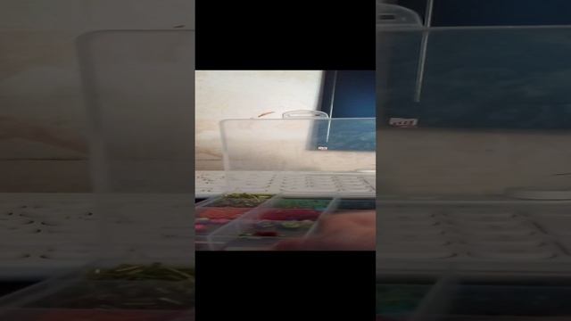 туториал как сплести цветочек для начинающих.