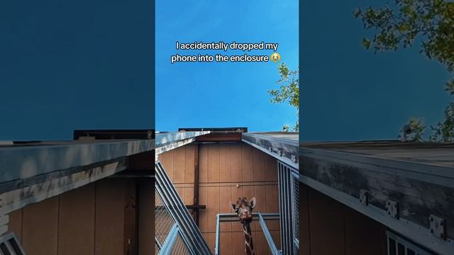 @underrated.simpsons=8ac003