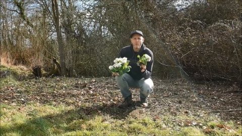 SERIOUSLY? An exciting find for the pond restoration project!