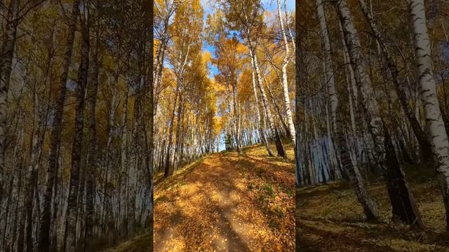 Осень.