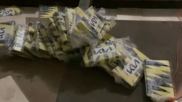 Члены колумбийского картеля "Кали" задержаны в России с 570 кг кокаина