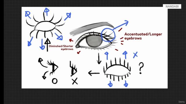 23 - How to draw the eyes