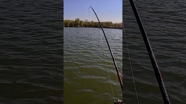 ЭТО не ЩУКА, ЭТО МАШИНА!!! 🔥😱🔥 #ловлящуки #спиннинг #рыбалка