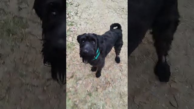 1000048766.mp4