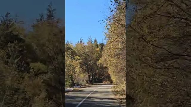 Счастье живет рядом с нами