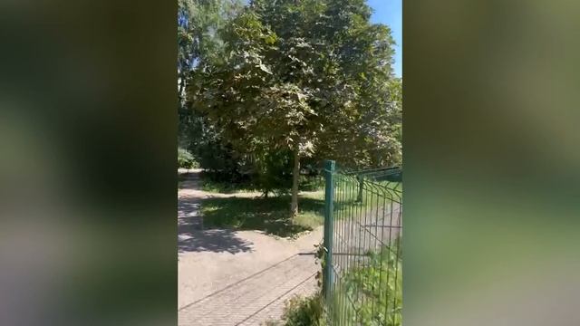 Разлив битума около дома на улице Генерала Ивлиева