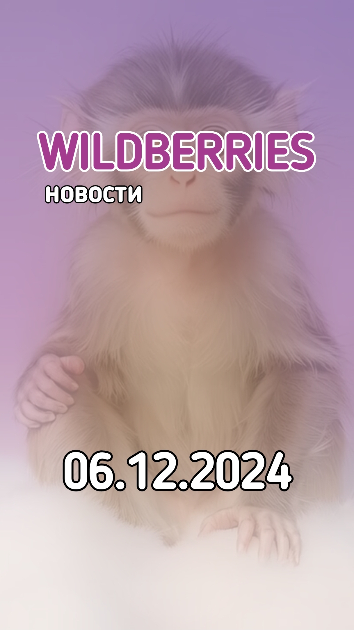 Новости #Вайлдберриз от 6 декабря