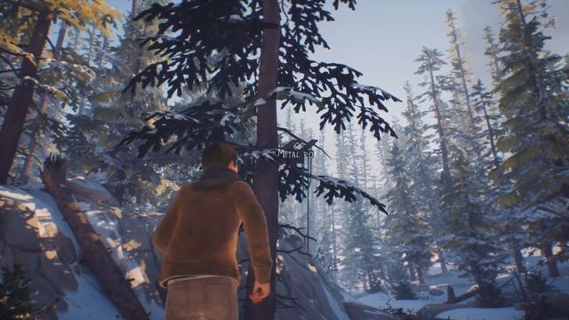 Life is Strange 2 - Back in Time