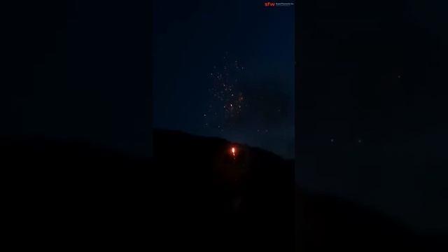 Волшебная зима | NF7249