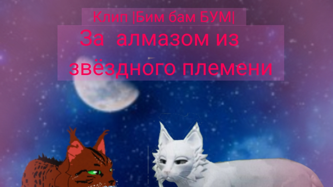 |Коты воители-кв(WCUE)клип|Бим бам БУМ|[За кристаллом из звёздного племени]