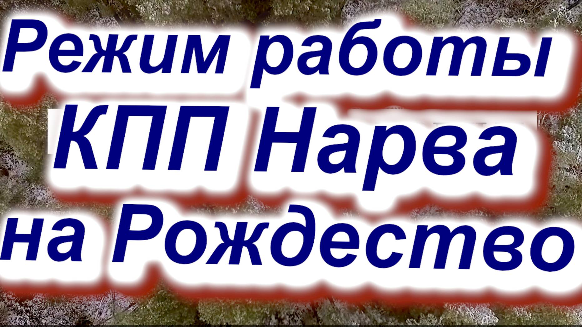 Режим работы КПП Нарва на Рождество. Что говорят эстонские пограничники? #граница #Эстония #Россия