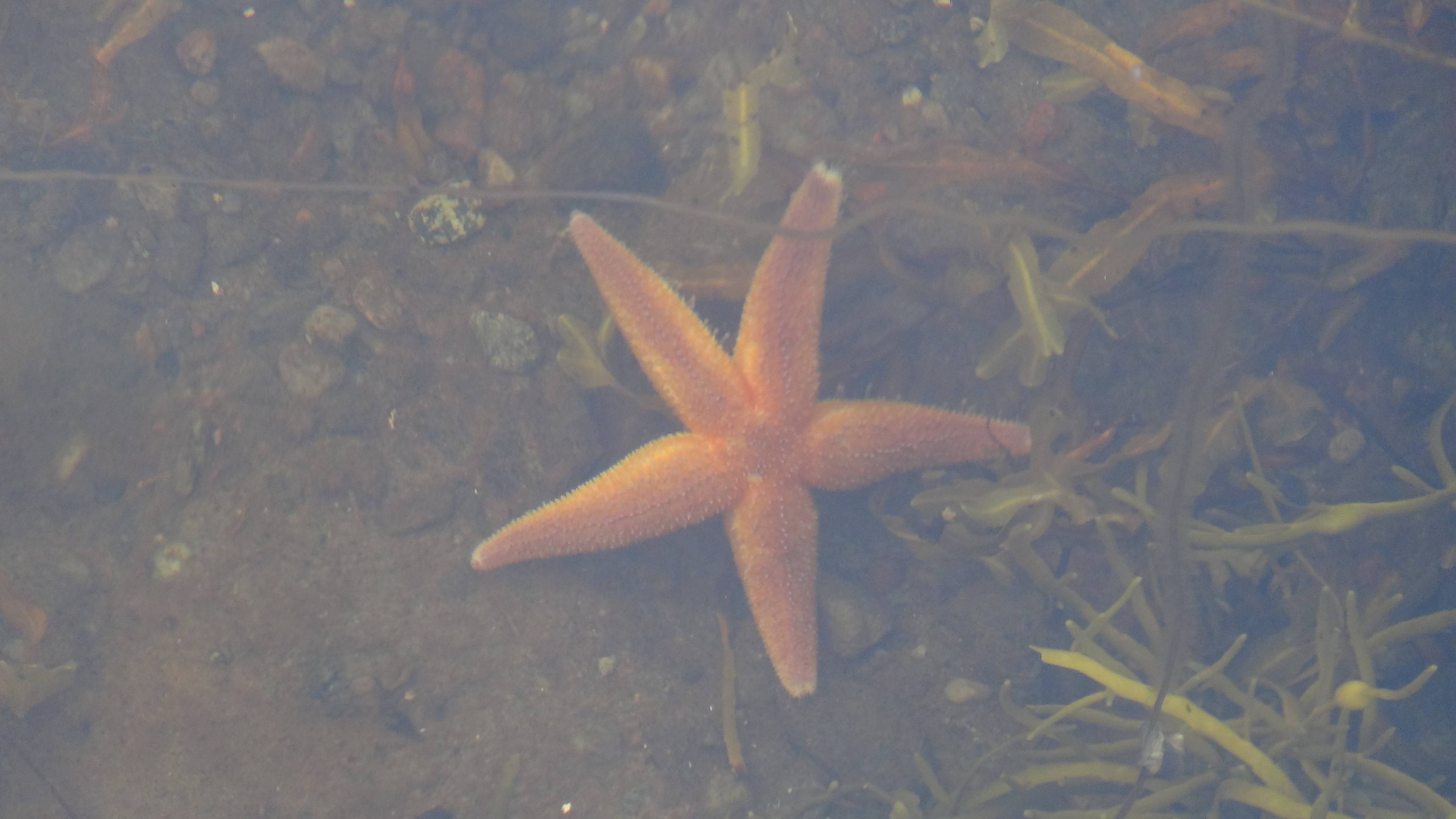 Знакомство с Карелией У самого Белого моря