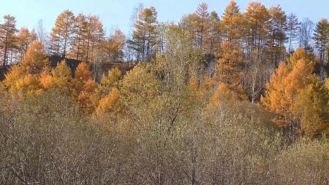 "Осень, осень..." = пос. Гатка 2016 год=