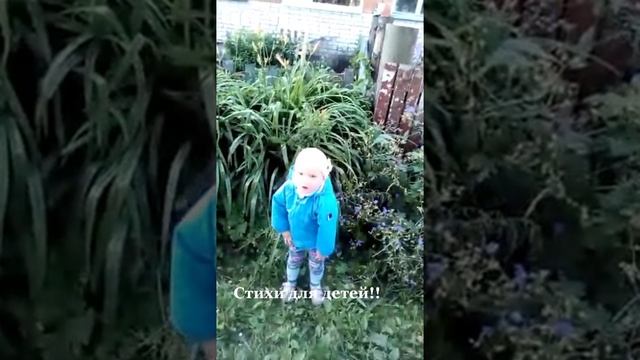 4269d4c48e2916cde0d442d0272890c0.mp4