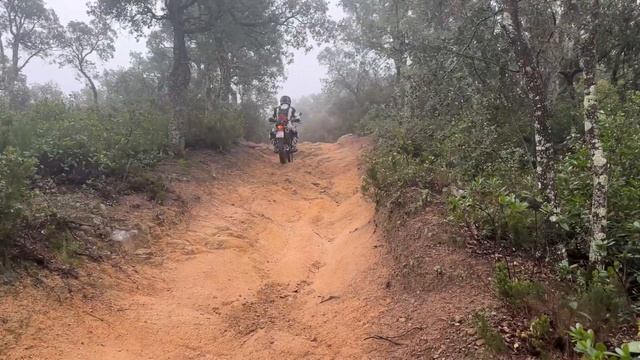 HONDA CRF300 RALLY Spanien Offroad 1, Spain riding Enduro