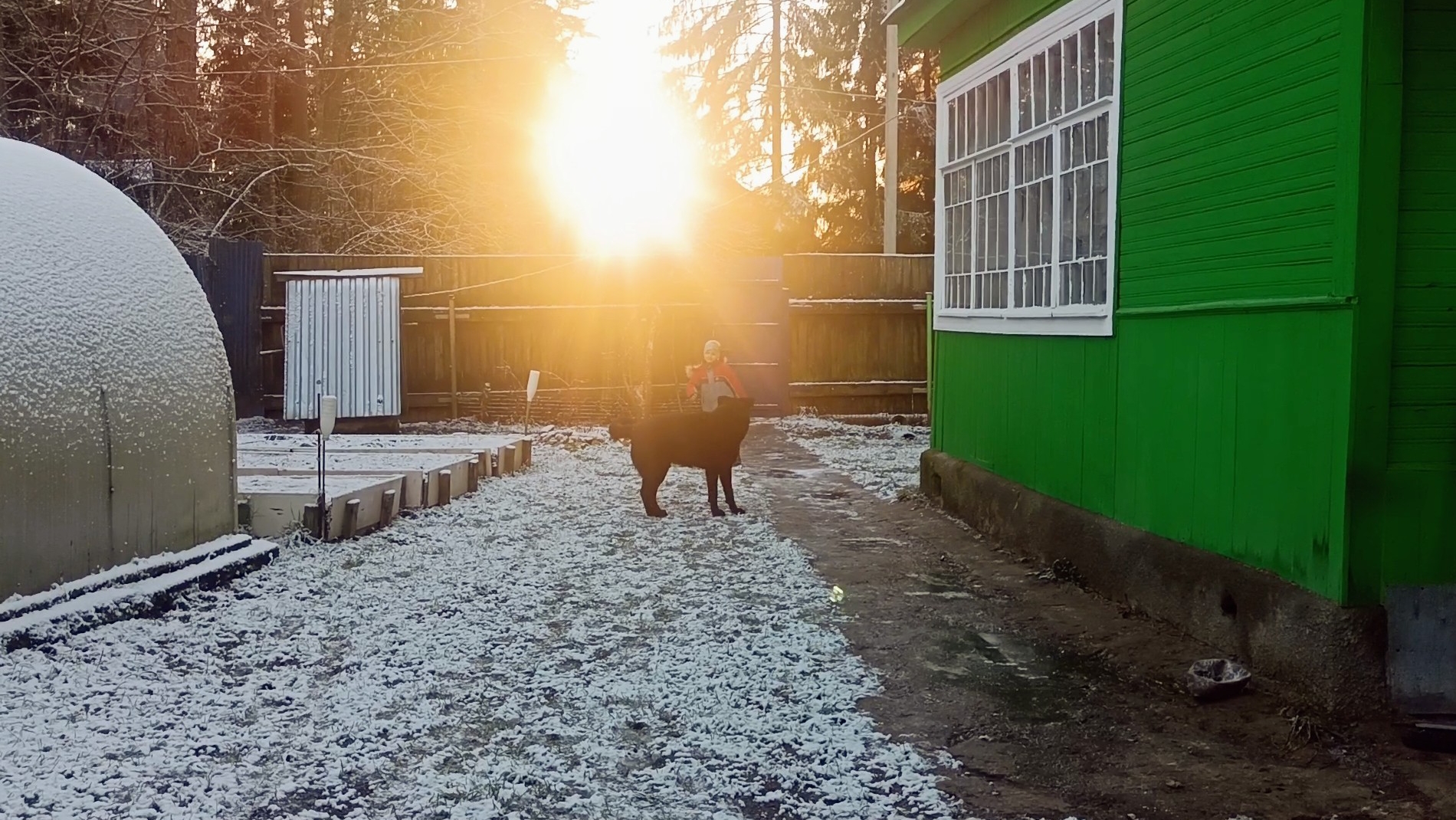 Жизнь на пенсии".. Яркое солнышко и морозный денёк порадовал нас🌞👏.