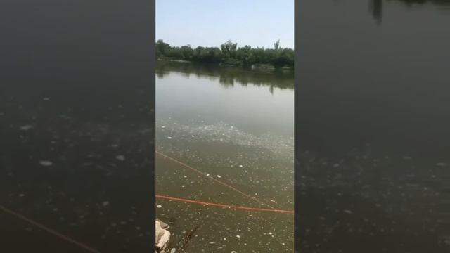 Ни разу не встречали на водоемах таких "рыбаков". Хочется поинтересоваться как у них с уловом?
