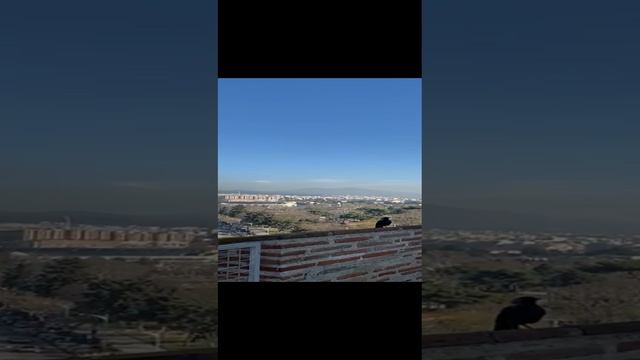 1000008617.mp4