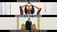 DJ Snake x Selena Gomez - You Know You Look Good