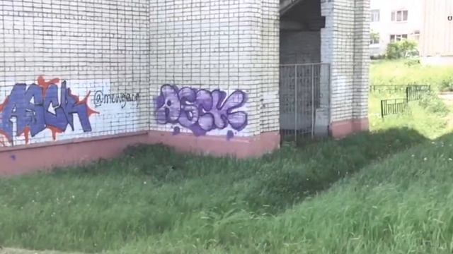 Влог о жизни// ЛЕС / прогулки  и У БОР КА // НЕ ВЫДЕЛЯЮЩИЙСЯ перегрелись  🎧📍⏲