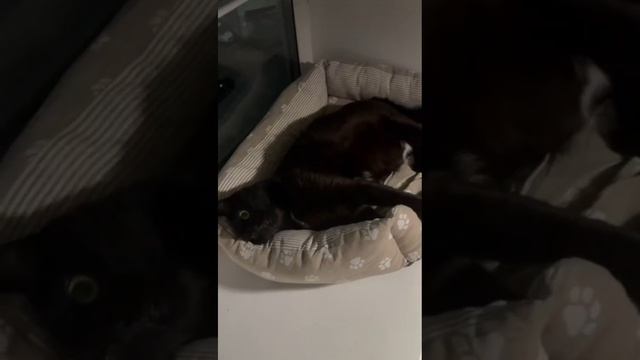 Как же я хочу!!!