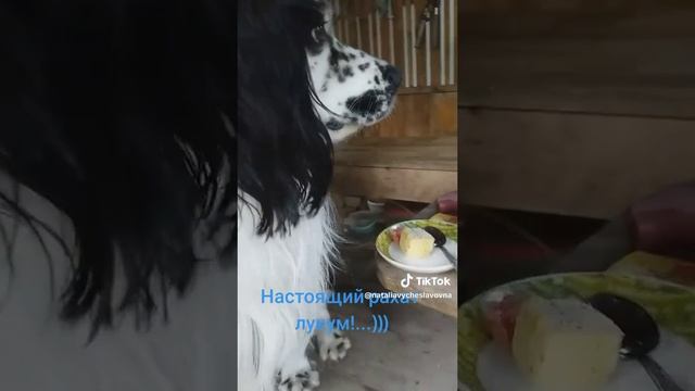 Рахат лукум...)))