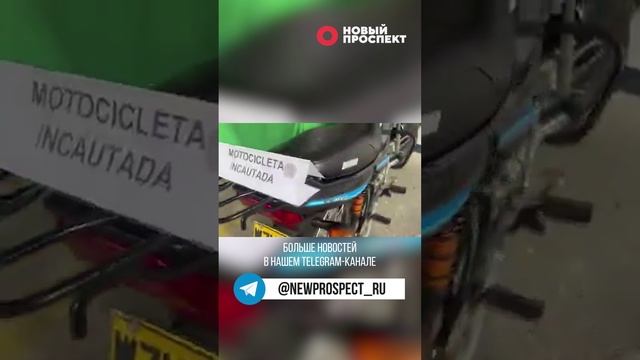 В сети появился новый краш: девушка-киллер из Колумбии с модельной внешностью