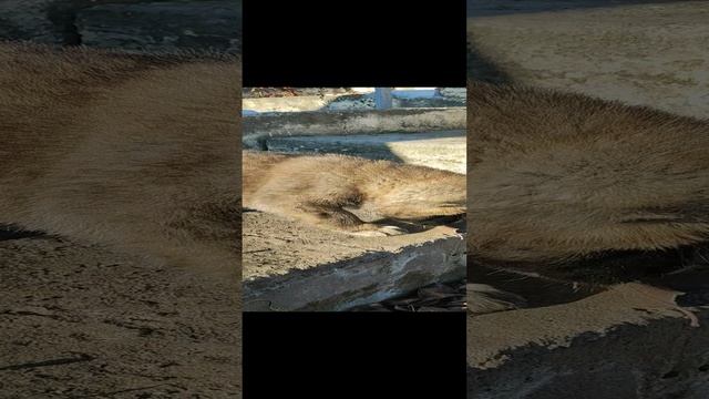 VID_20241121_142350