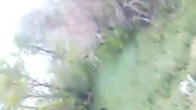 ЖЕСТЬ.Смотрите.Бабка живущая в лесу