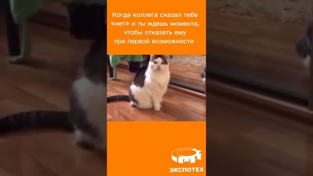 Когда коллега сказал тебе «нет» 😂