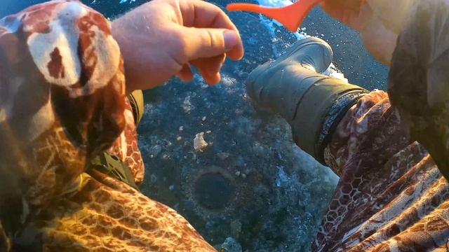 Озеро. Щучье, Рыбалка на плотву и леща