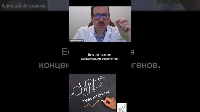 Для чего такое многообразие женских гормонов?