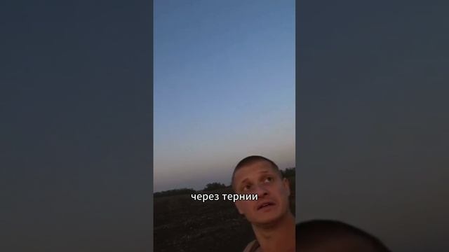идущей к реке