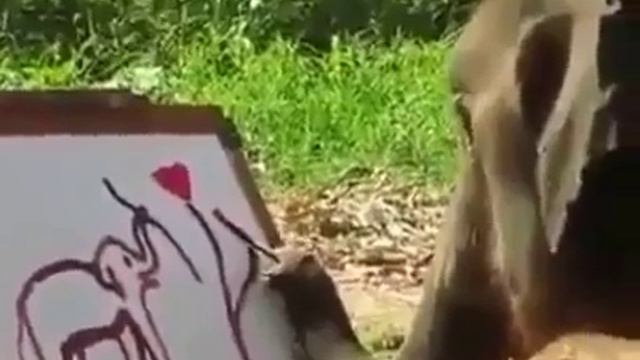 10699740_794637880575187_1013250208_n.mp4
