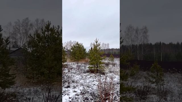 Участок 12 соток